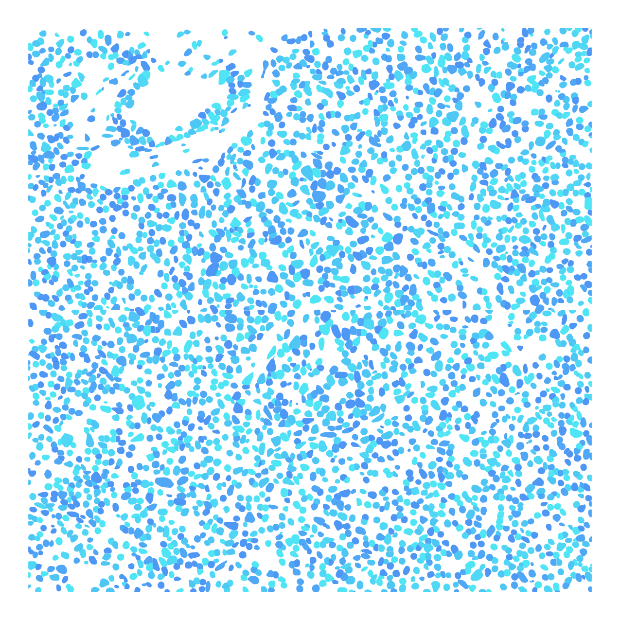 DAPI nuclear segmentation
